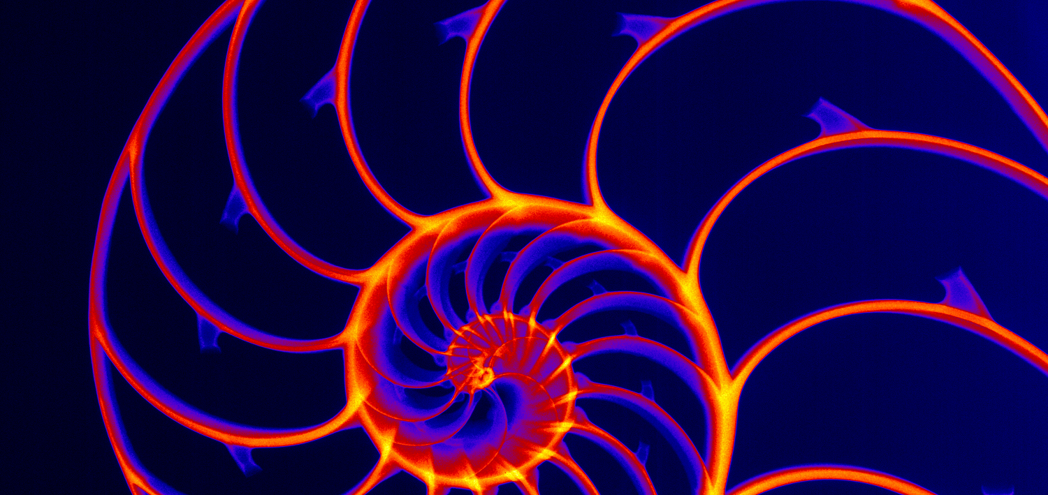 The D’Arcy Thompson Simulator Centre