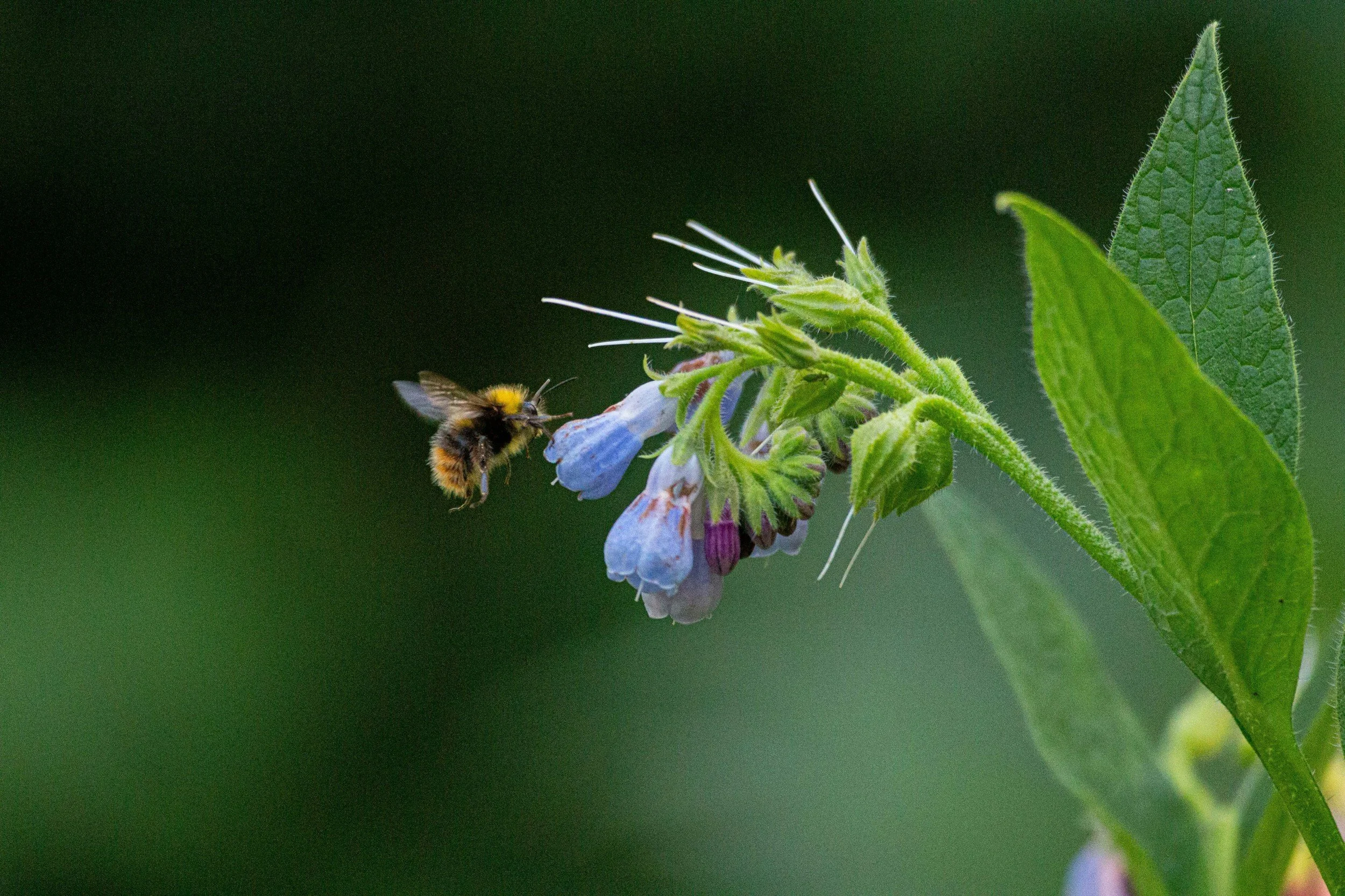 The D’Arcy Thompson Simulator Centre - WHERE MINDS MEET