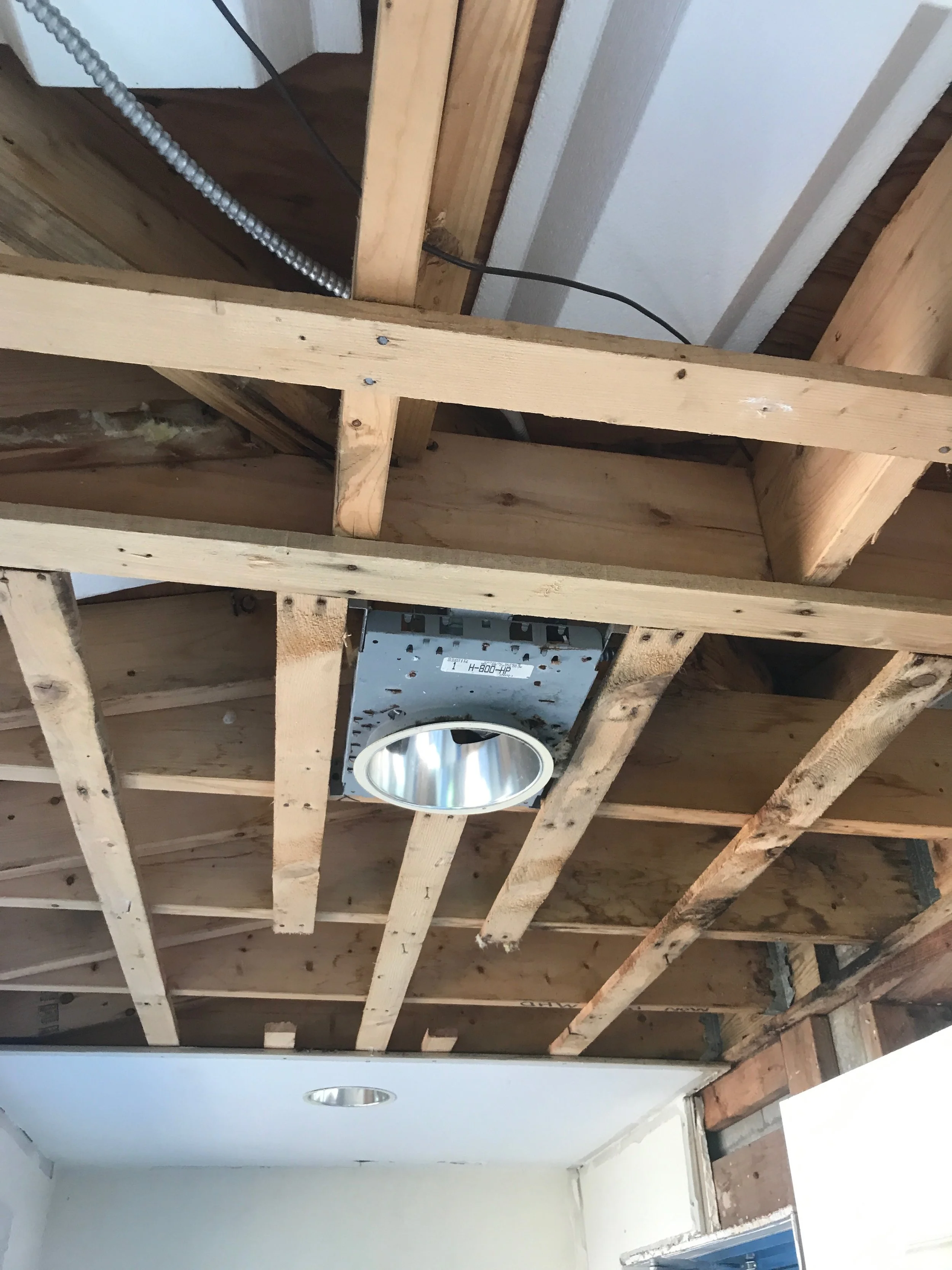 After: Moldy material removed and supporting structures cleaned.