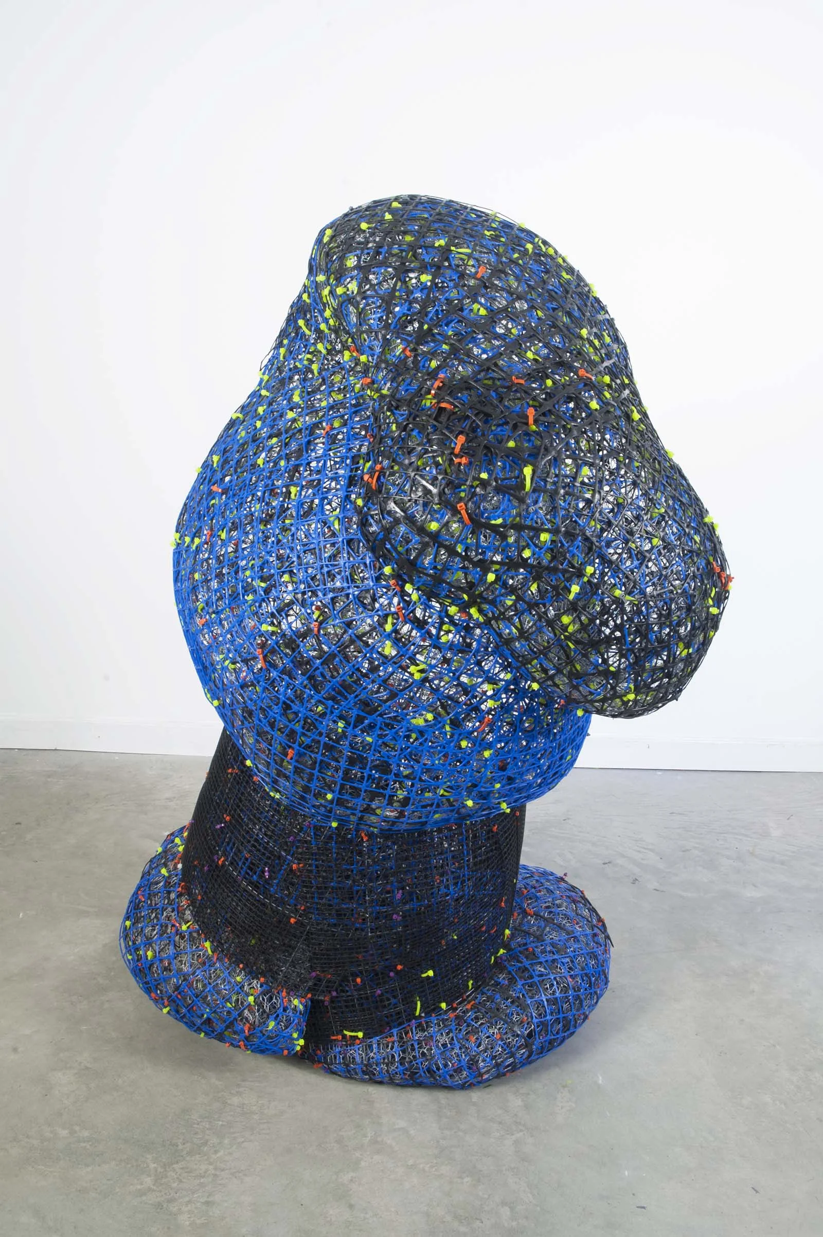 Black + Blue_2014 plastic+ metal fencing 64" x 48" x 40" 2014