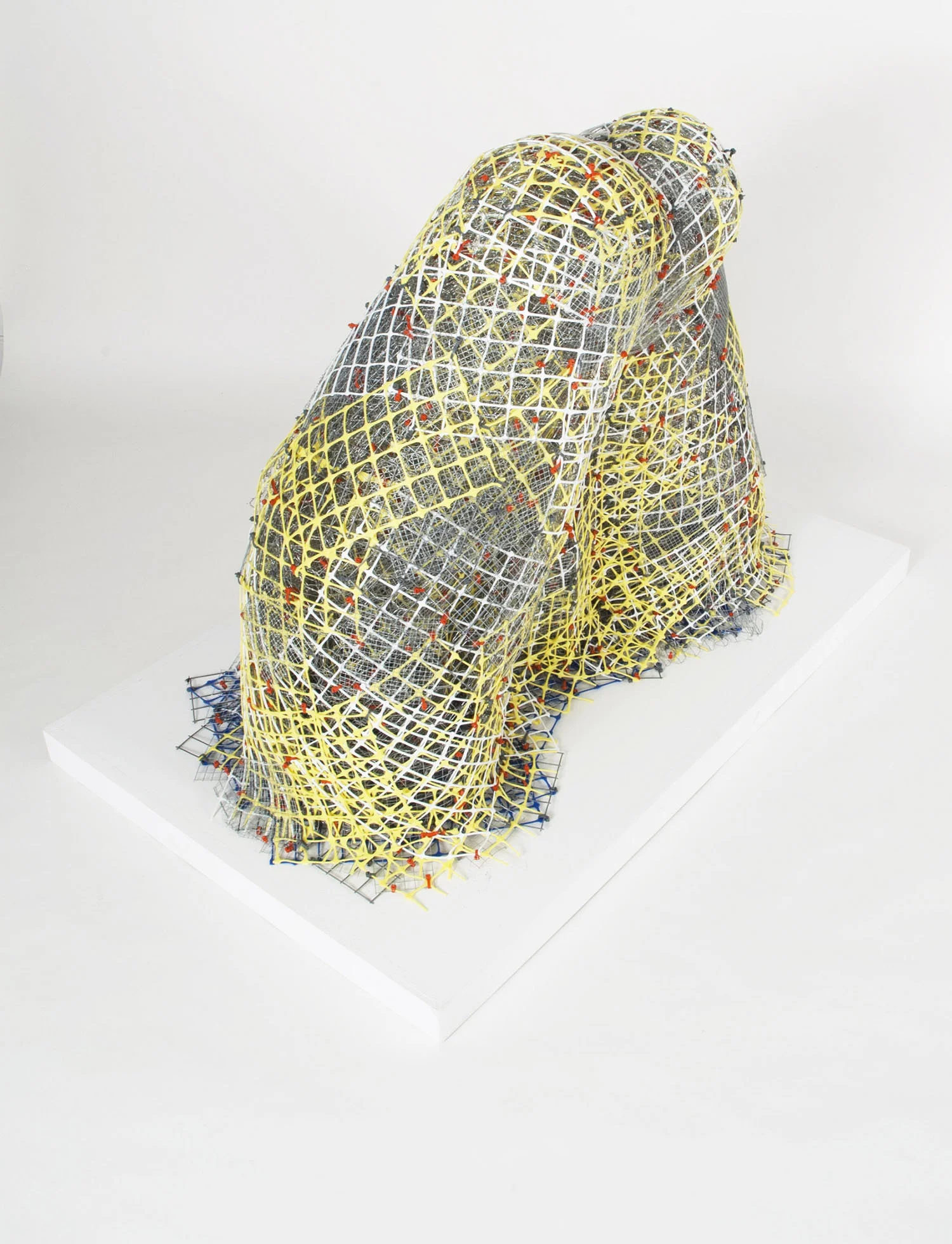 Lick It plastic+metal fencing 39" x 40" x 23" 2013