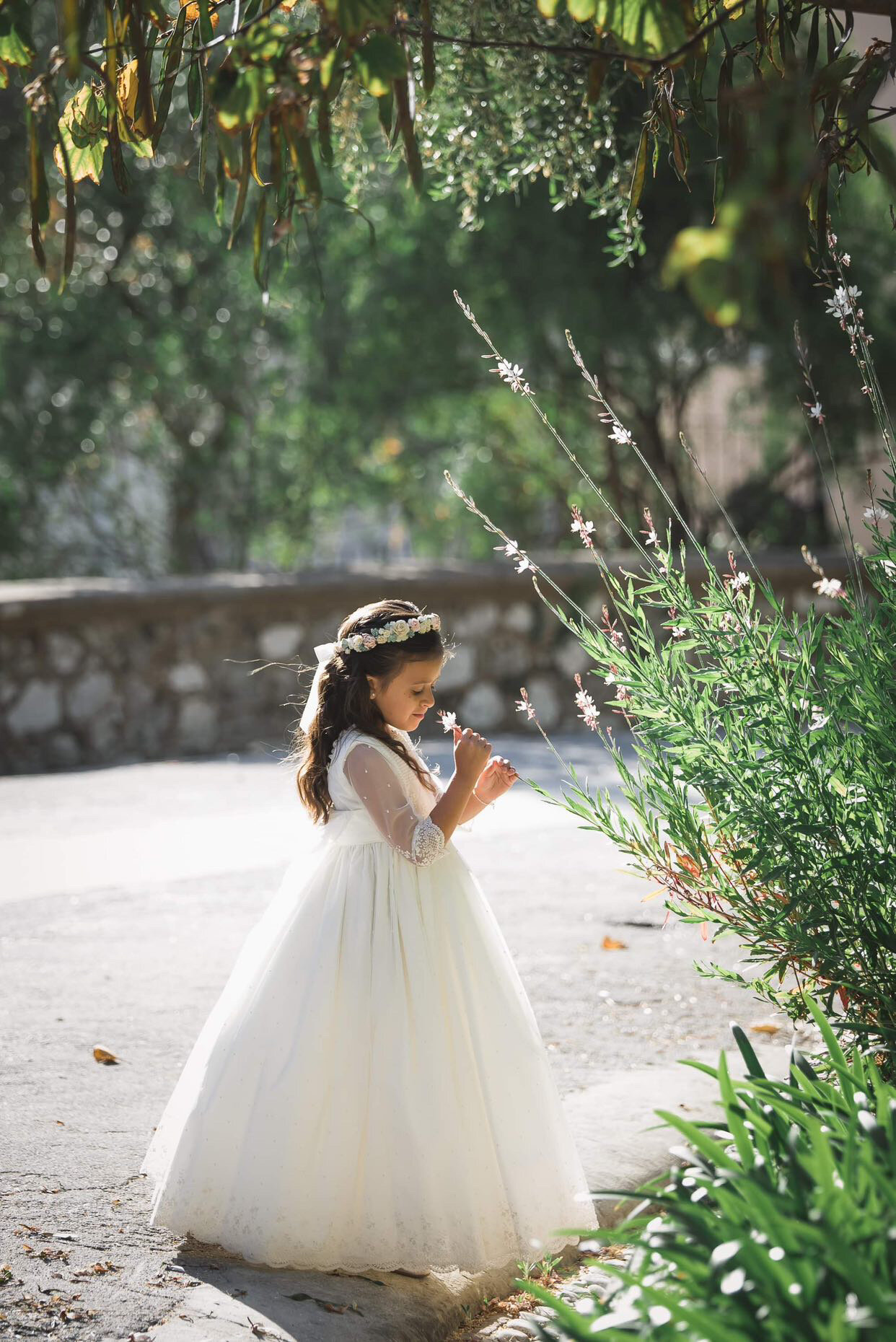 2F5E52FD-256B-4003-9A65-02EF8E851606