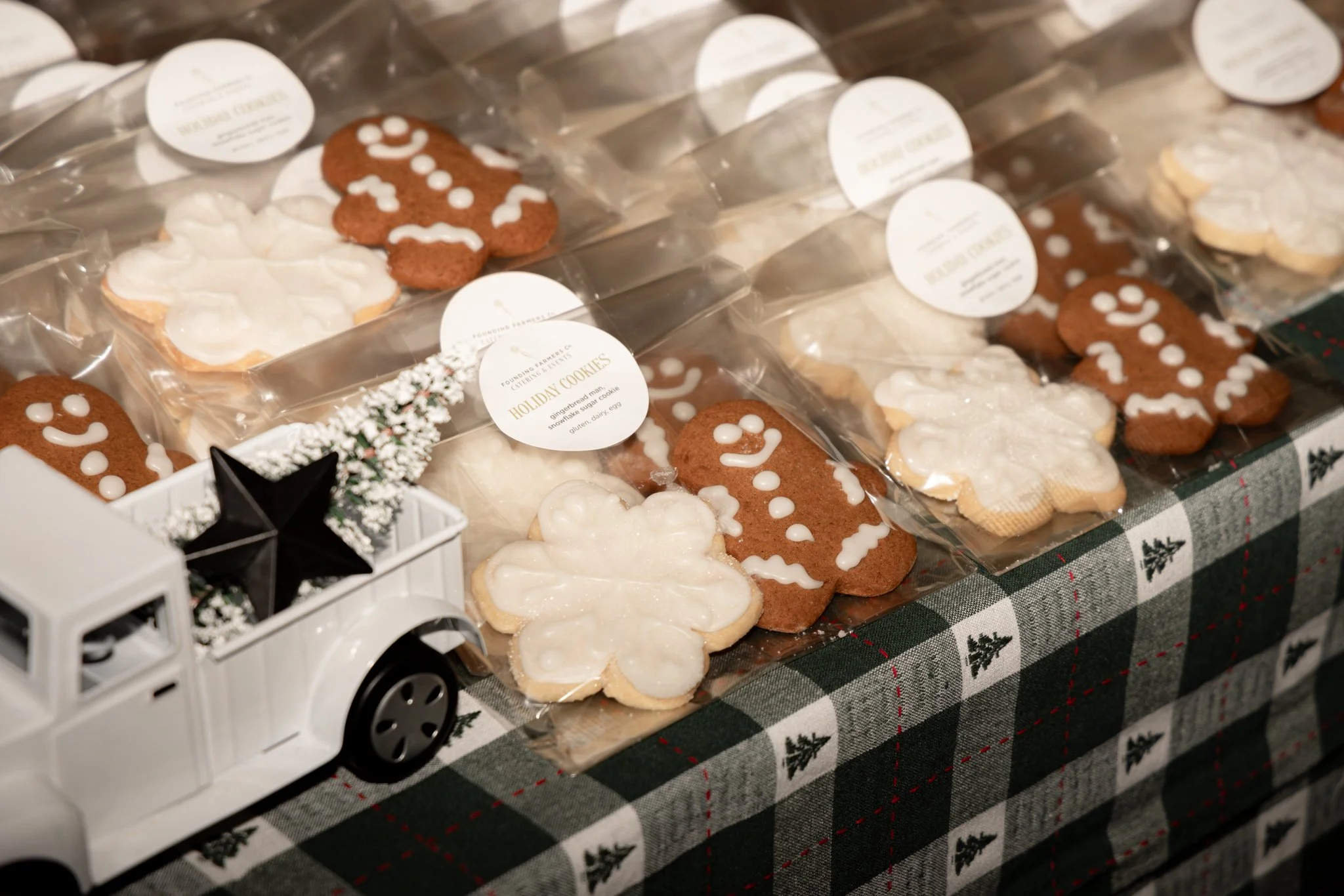 LOC_TreeLighting_KB_2024-03 (1).jpg