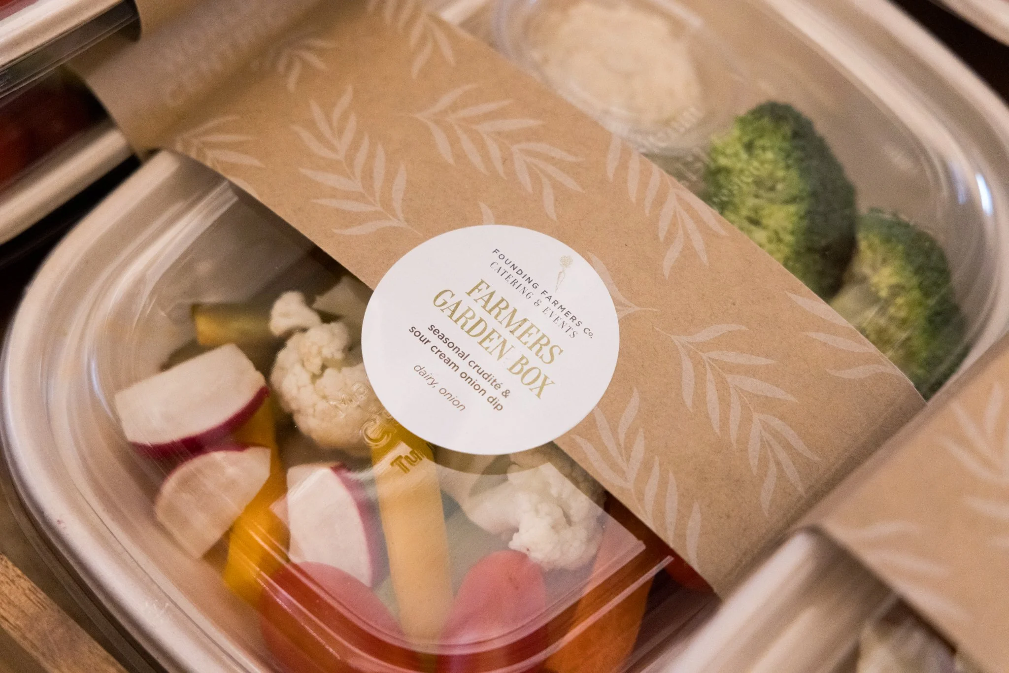 LOC_TreeLighting_KB_2024-15 (1).jpg