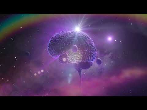 Nakd Brain