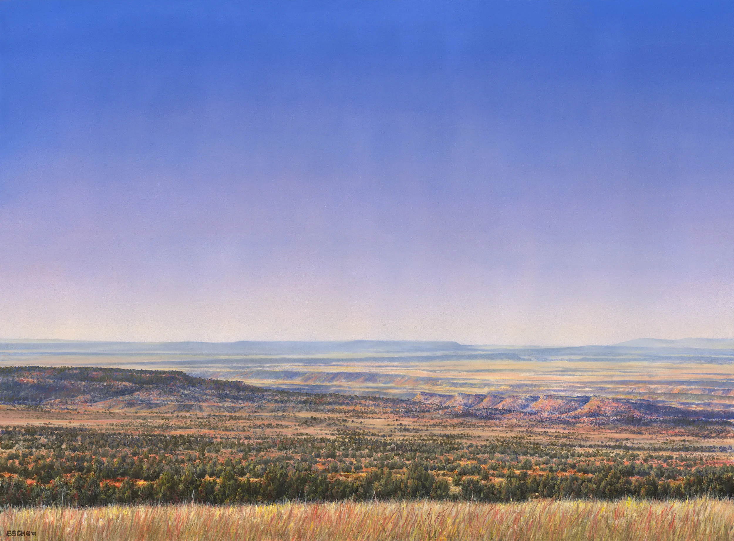 TCR Ranch 