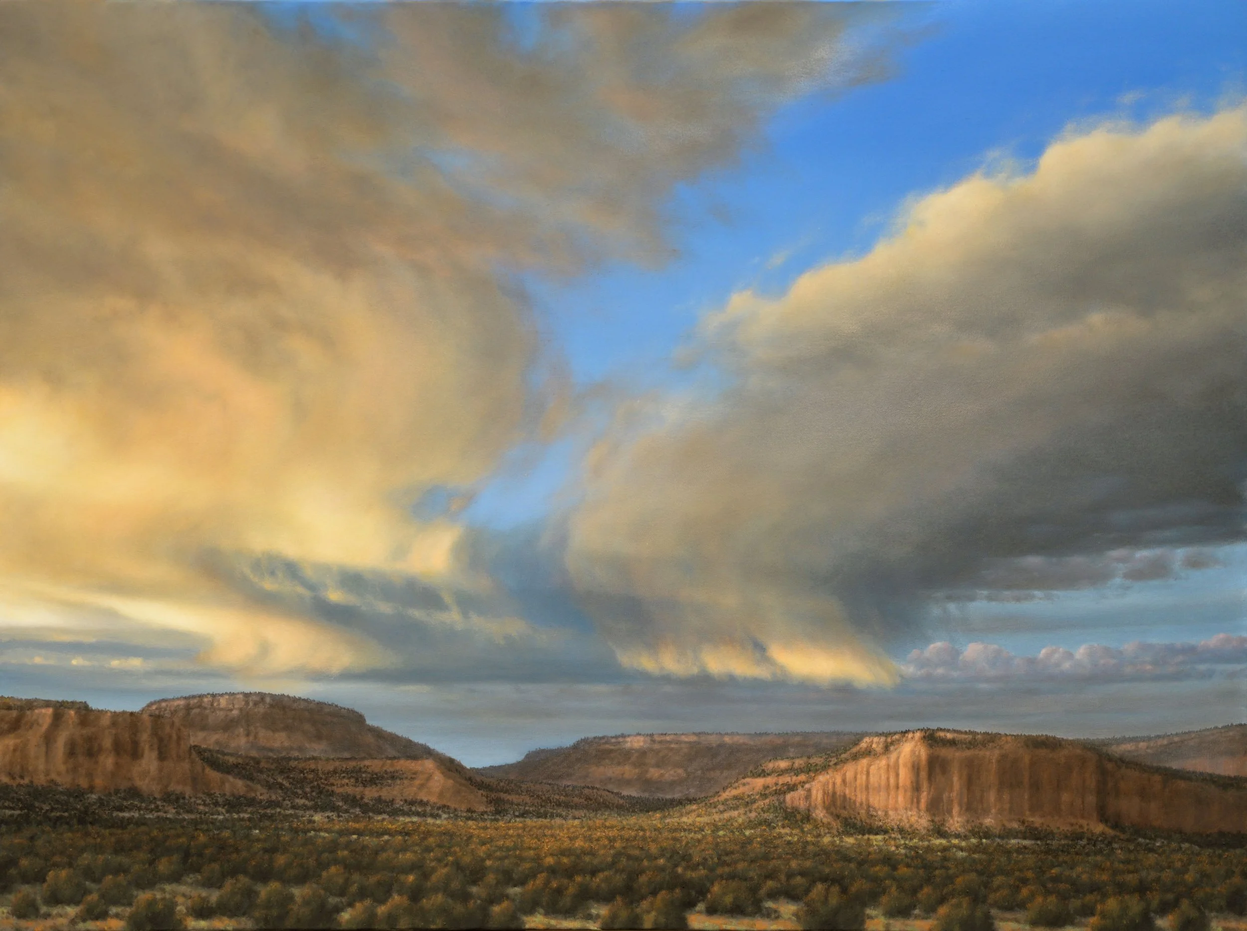 Mercier Canyon 
36" x 48" Oil on Canvas
