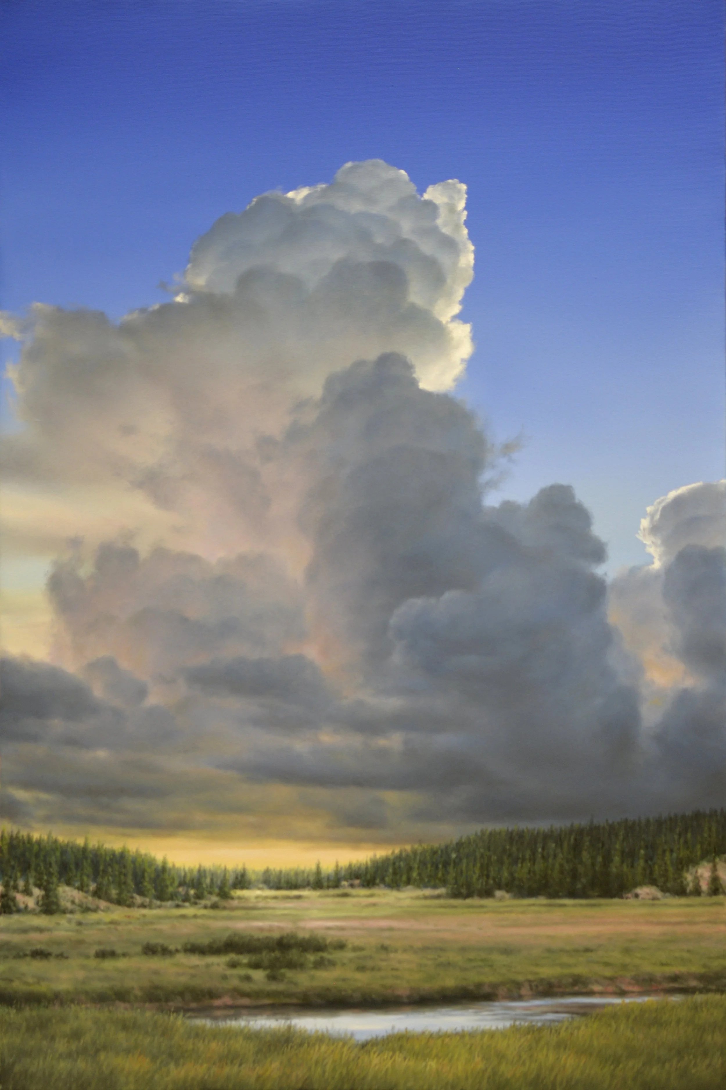 US 64 Pallisade (Copy) (Copy)