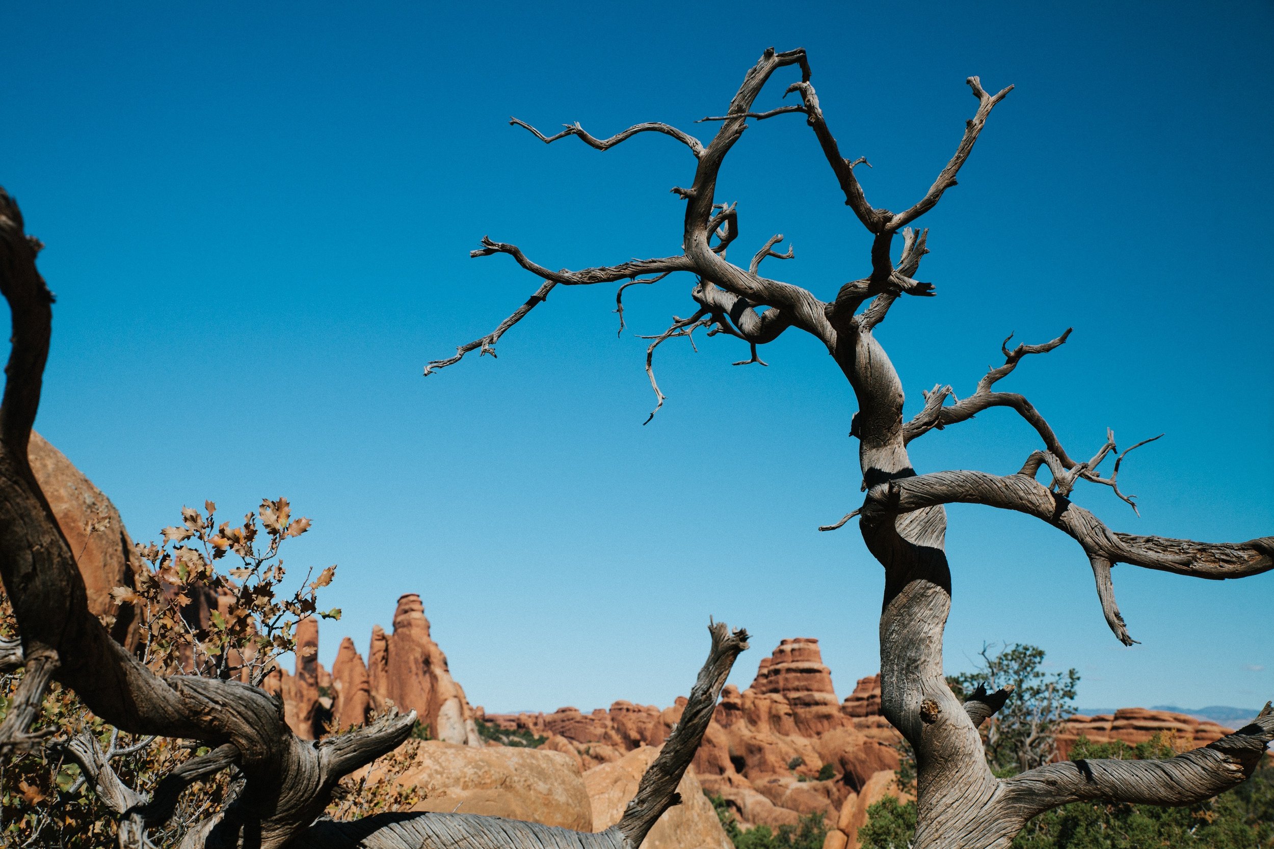 Photo by Frederic Audet on Unsplash