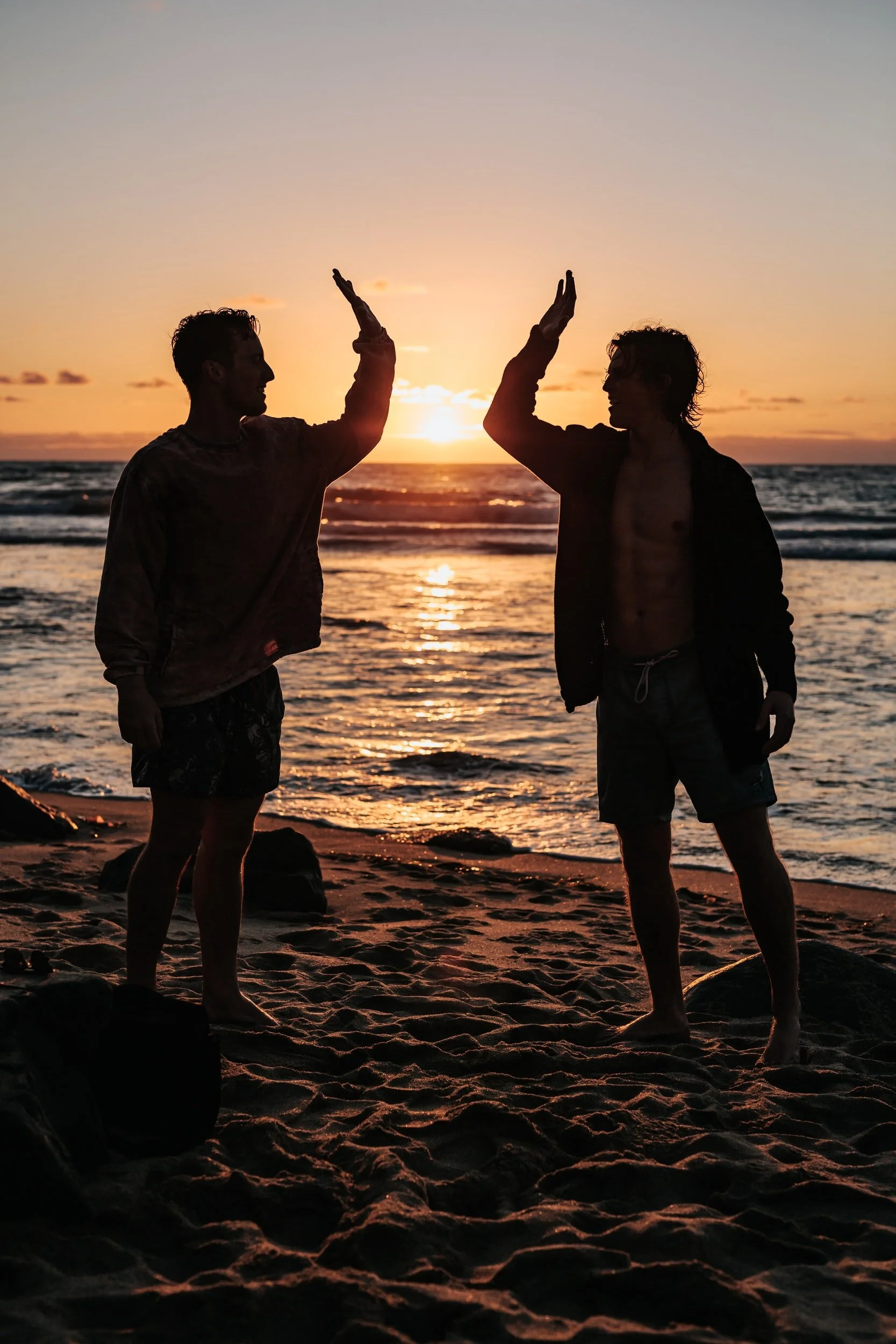 The Necessity of Friendship