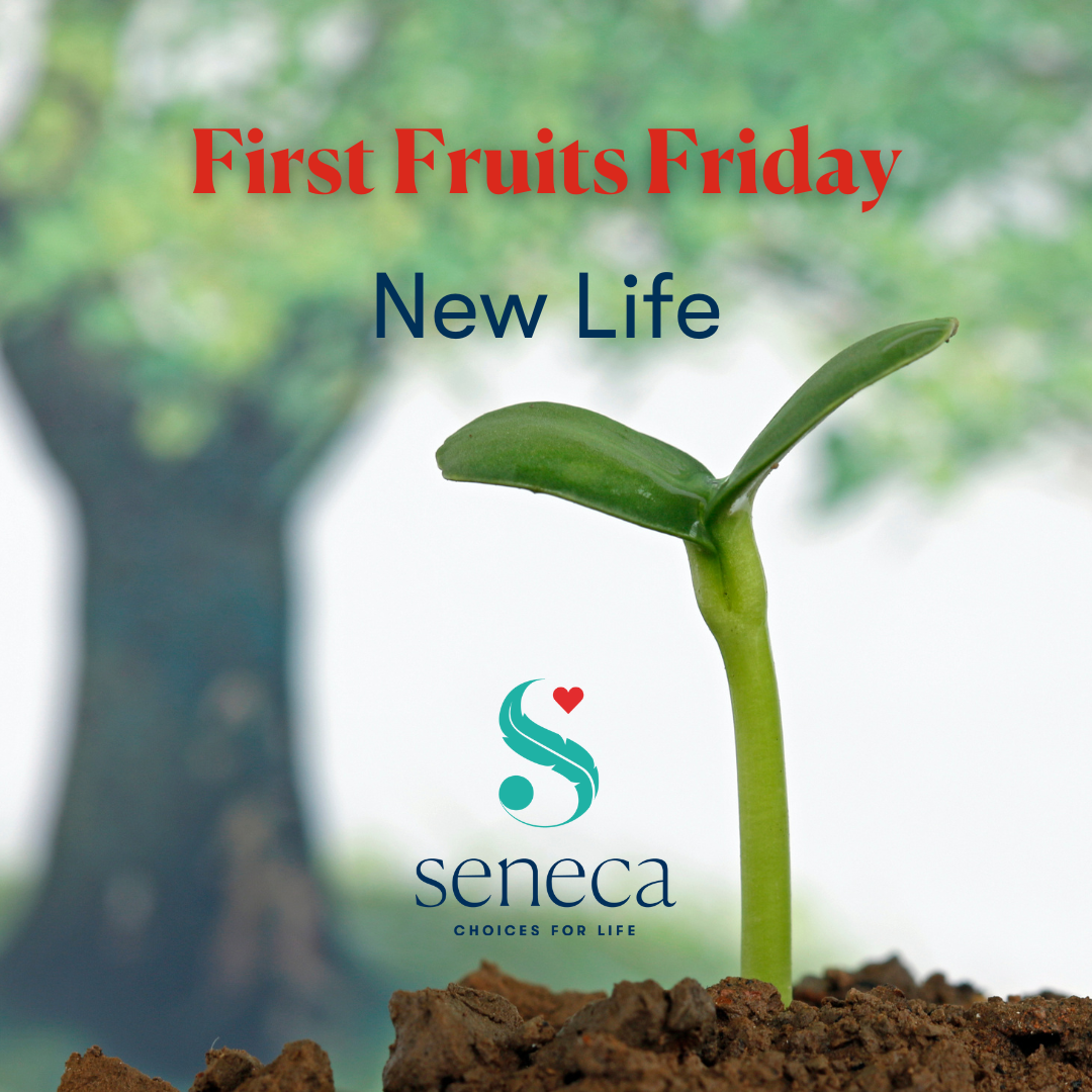 First Fruits Friday - New Life