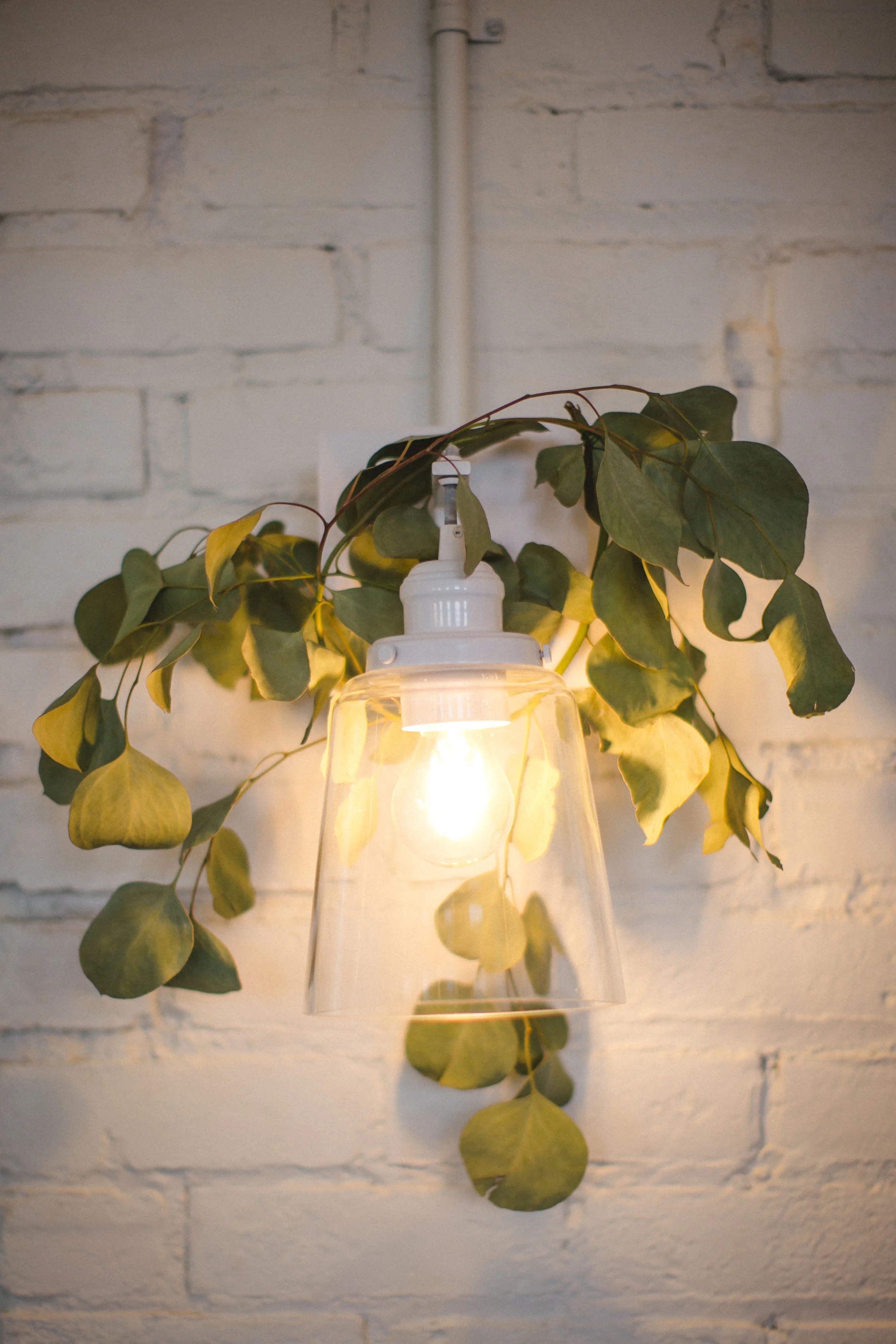 by Aimee Jobe-11.jpg