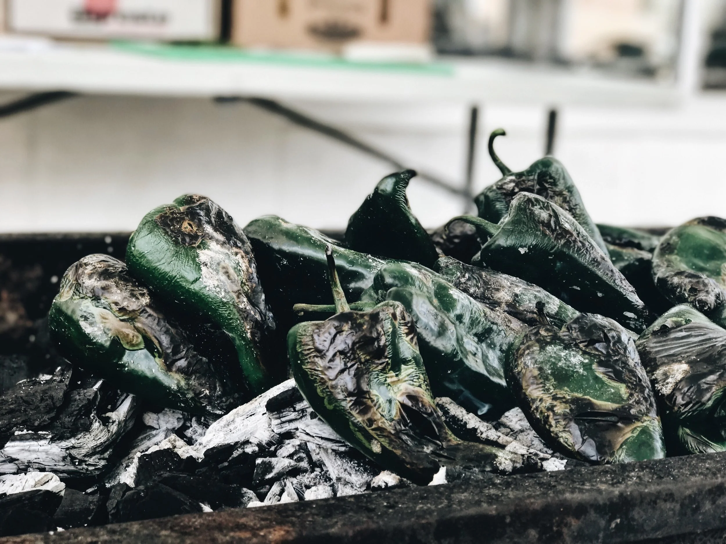 Poblano.jpg
