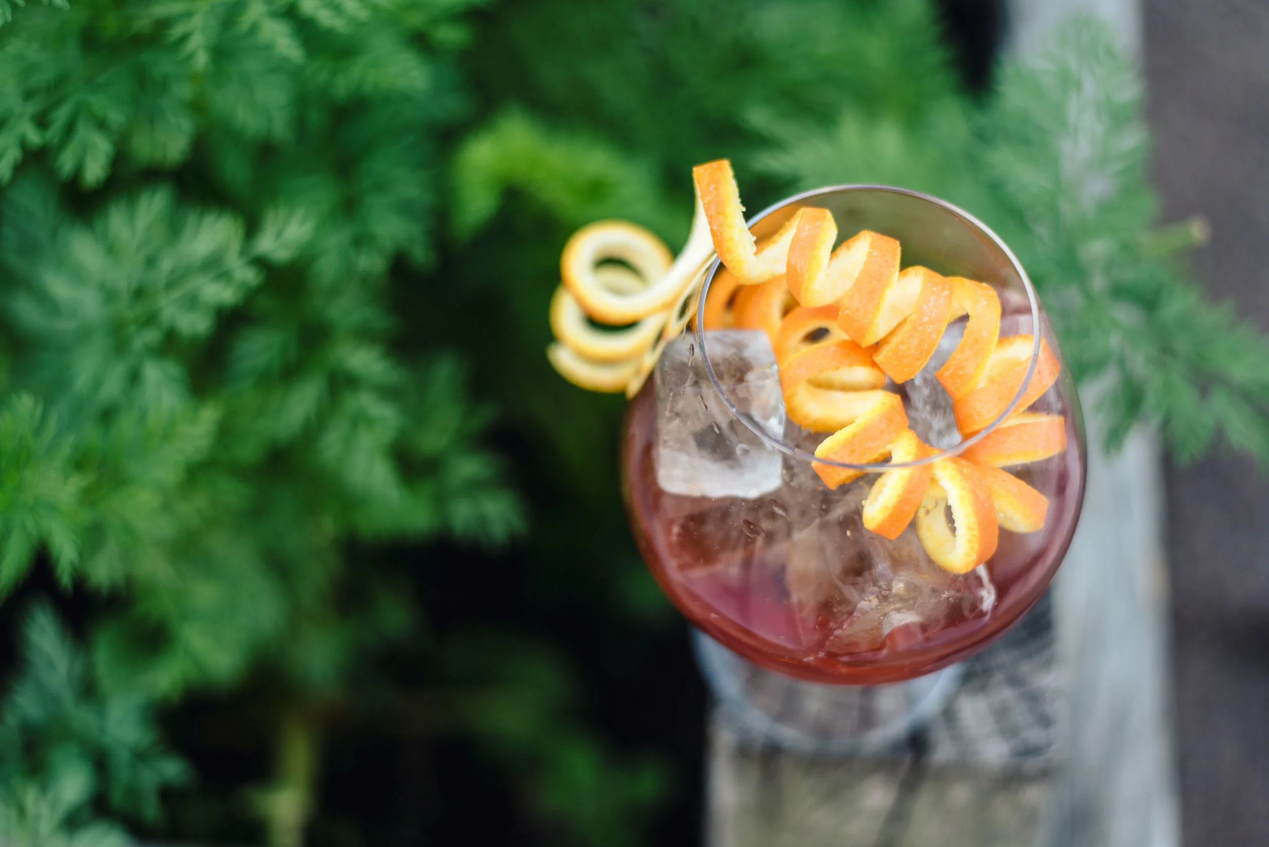 Negroni Desalvo at Coltivare
