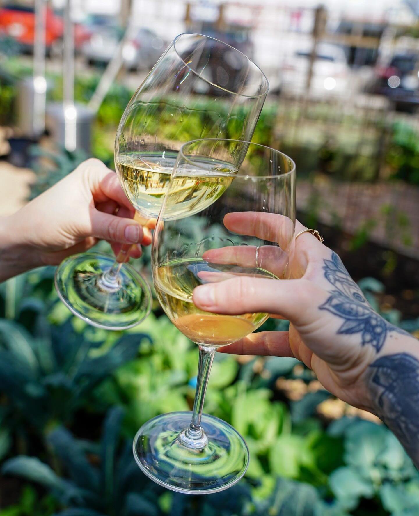 A Coltivare Itinerary &mdash;⁠
◽️ Start with wine in the garden - either a crisp white or @borgomaragliano_official Cha Pi P&eacute;t-Nat⁠
◽️ Admire the rainbow chard that is positively thriving⁠
◽️ Enjoy garden ingredients in dishes on the menu⁠
◽️ 