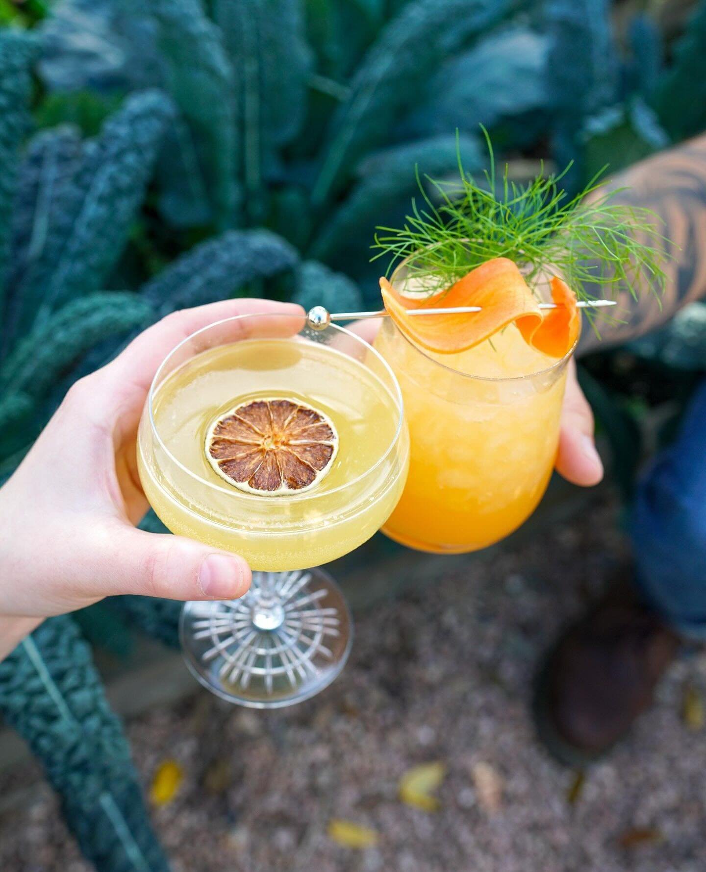 It&rsquo;s always a good day for a #ColtivareHTX cocktail. Stop by and sip on one of our seasonal creations. We welcome walk-ins at the bar and in the garden or you can reserve at the link in our bio.⁠
⁠
▫️ Six Foot Invisible Rabbit - vodka, carrots,