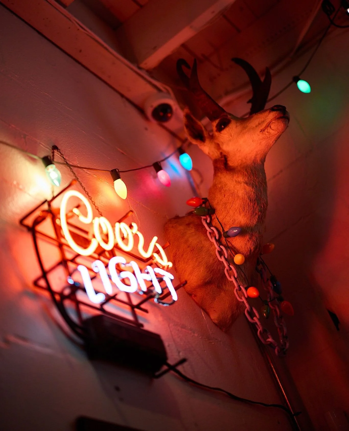 We hope your holiday week is treating you well! Join us on Christmas Eve from 11 AM&ndash;9 PM. We&rsquo;ll be closed on Christmas Day.