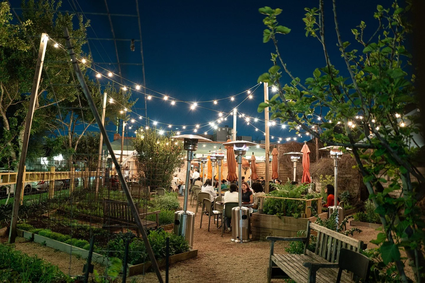 When the garden glows. ✨️ Walk-ins are always welcome here.