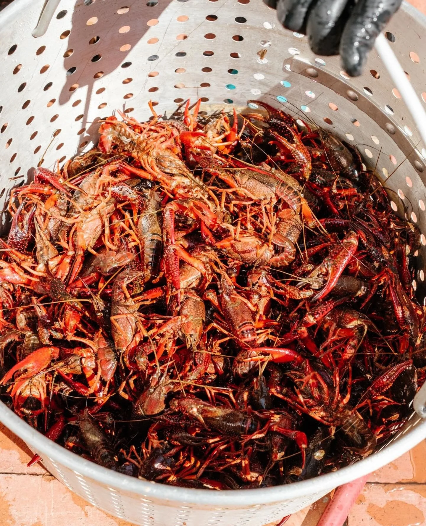 𝗧𝗛𝗜𝗦 𝗦𝗨𝗡𝗗𝗔𝗬 𝟱/𝟮 🦞 Come get your fix of chef @coolhandluke54&rsquo;s ridiculously good crawfish. Boil starts at noon!