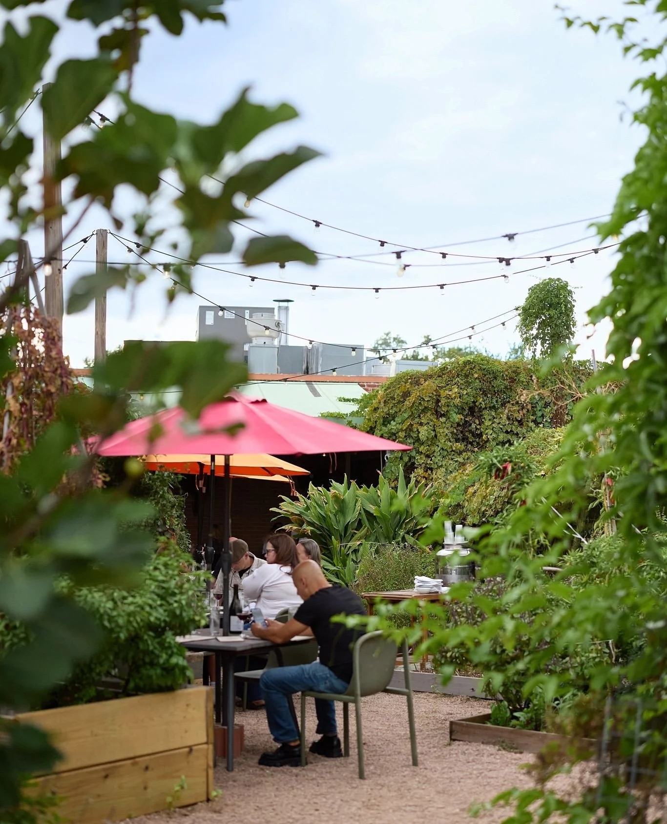 A little taste of fall is hitting Houston, which means cooler evenings in the garden and on the patio. What are you waiting for? Come see us. Walk-ins are always welcome.