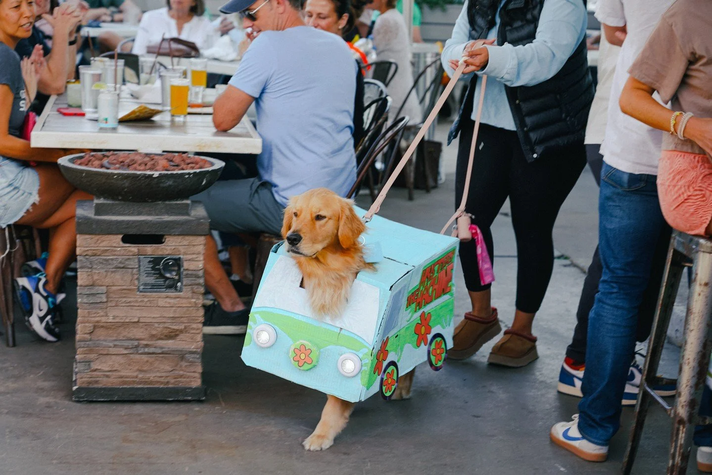 Our annual 𝙃𝙖𝙡𝙡𝙤𝙬𝙚𝙚𝙣 𝘿𝙤𝙜 𝘾𝙤𝙨𝙩𝙪𝙢𝙚 𝘾𝙤𝙣𝙩𝙚𝙨𝙩 is back Saturday, October 31, with judging beginning at 4 pm! Dress up your pup, show off their costume, and help feed a pup in need by bringing an unopened bag of dog food to donate 
