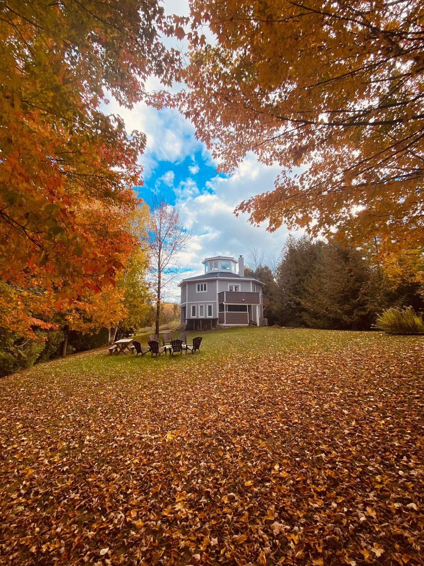 Meant to post this before the snow arrived. My favourite photo from the most beautiful season 🍂
.
.
.
#bigbay #greybruce #georgianbay #autumn #fallcolours #october #southbrucepeninsula #countrylife