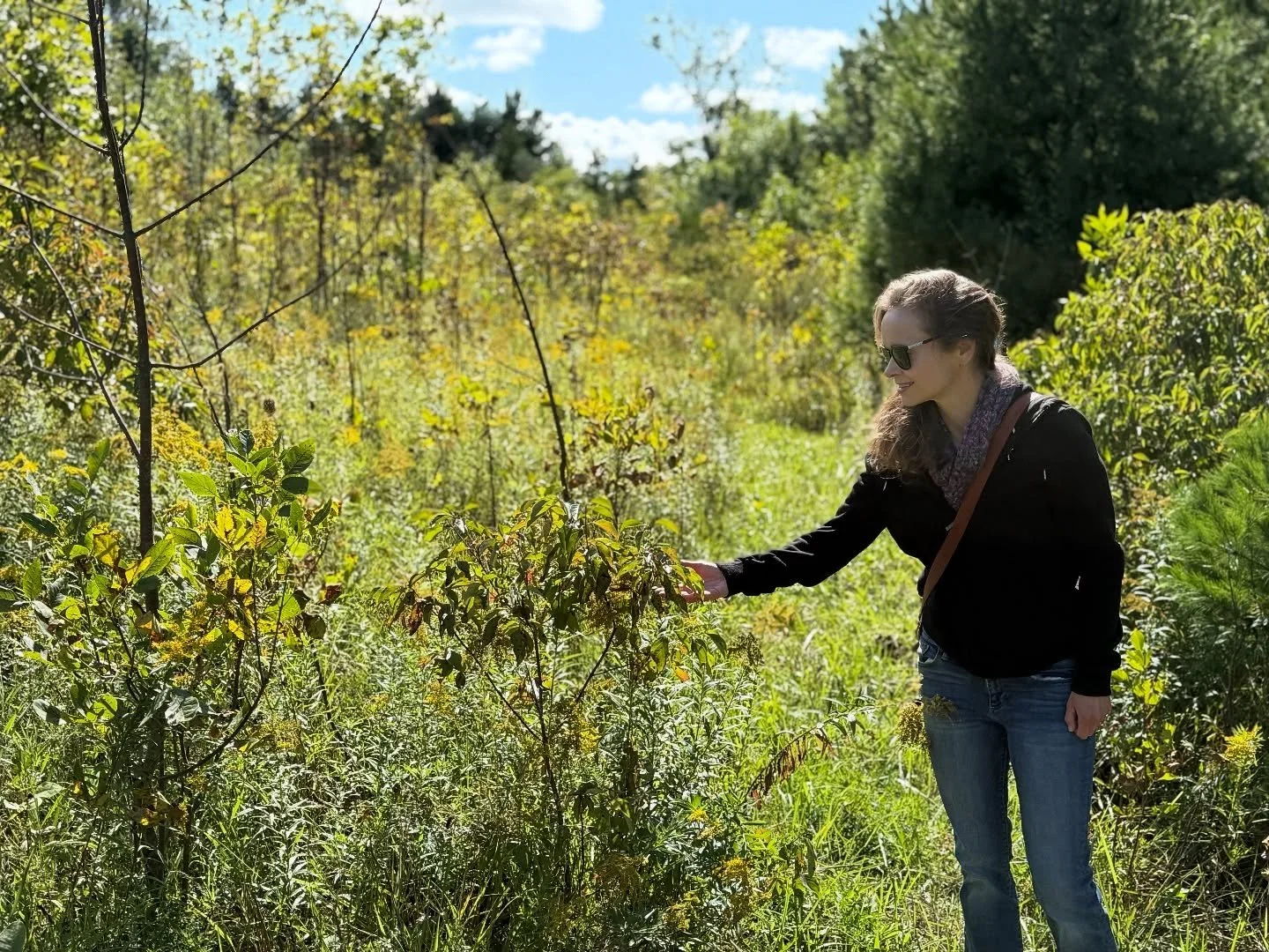 Thank you for all the birthday wishes. It was a lovely day 🌾
.
.
.
#grateful #southbrucepeninsula #naturewalks #orlowskinaturepreserve #september2025 #thankyou