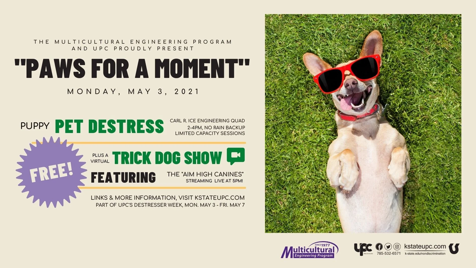 UPC Destresser Week: Paws for a Moment - Dog Petting Session