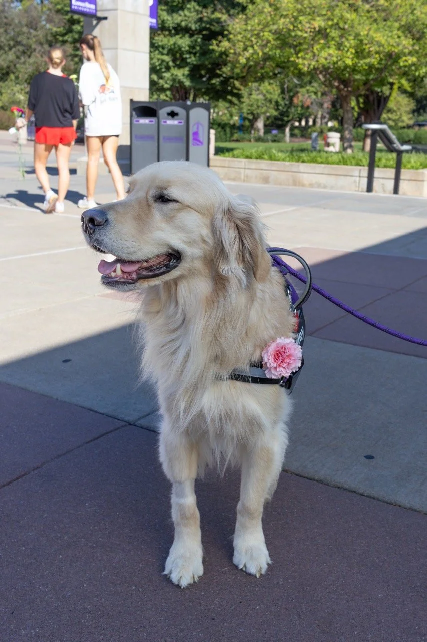 Petal it Forward 2025