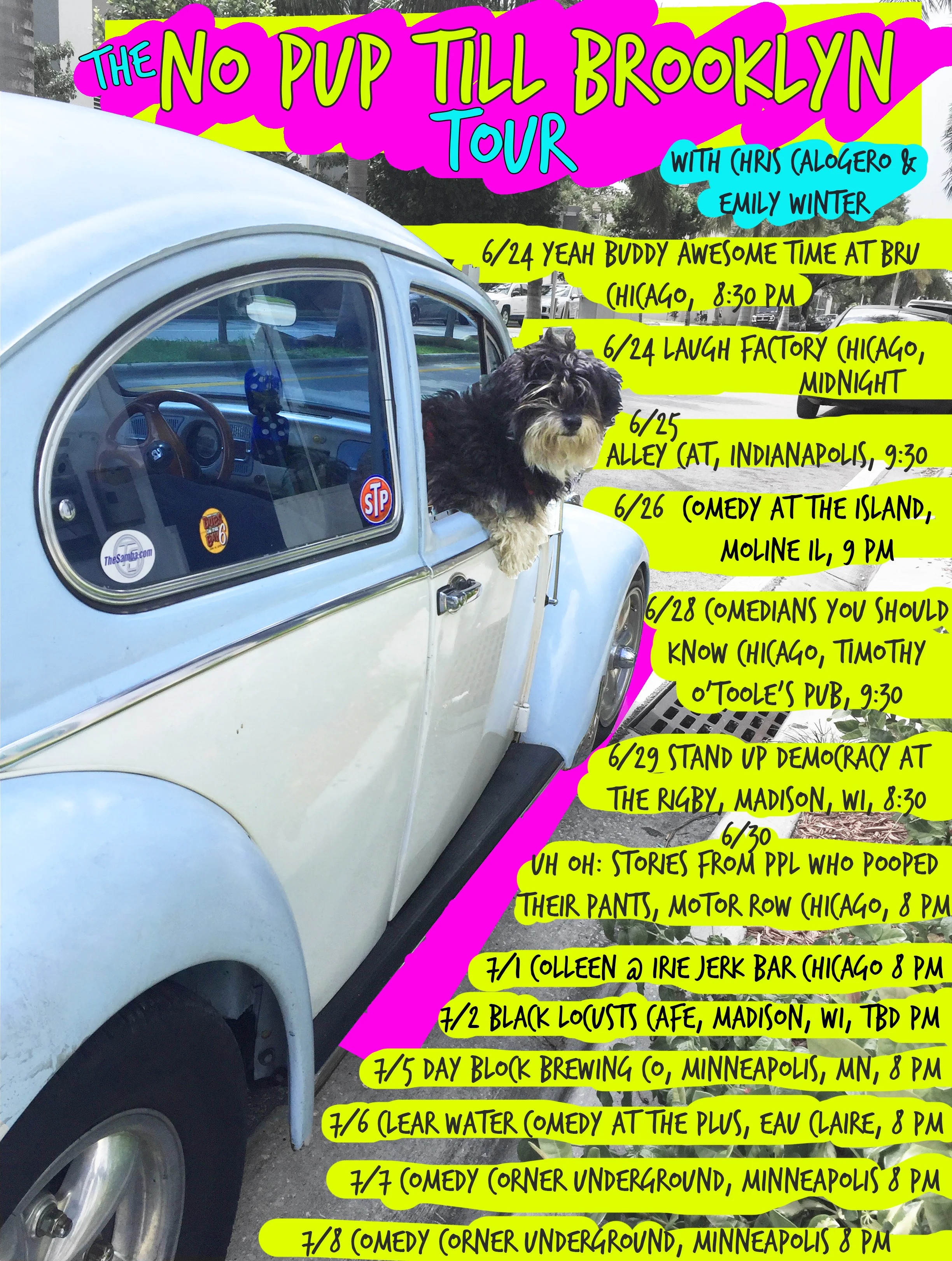NO PUP TILL BROOKLYN copy.jpg