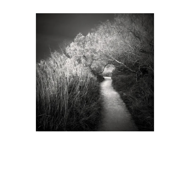 philippe-mougin-photographies-way-we-are.jpg