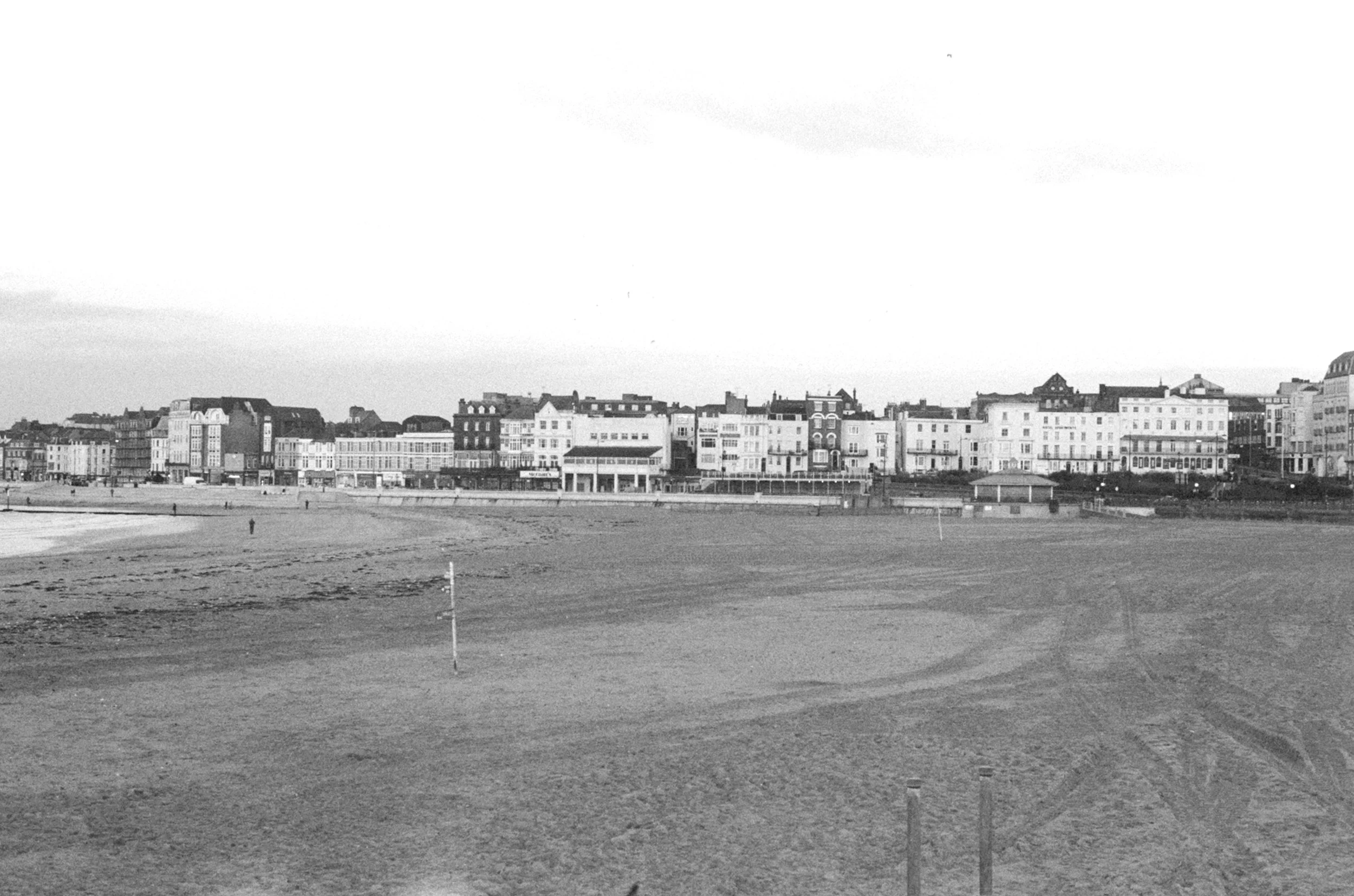 86420018.jpg