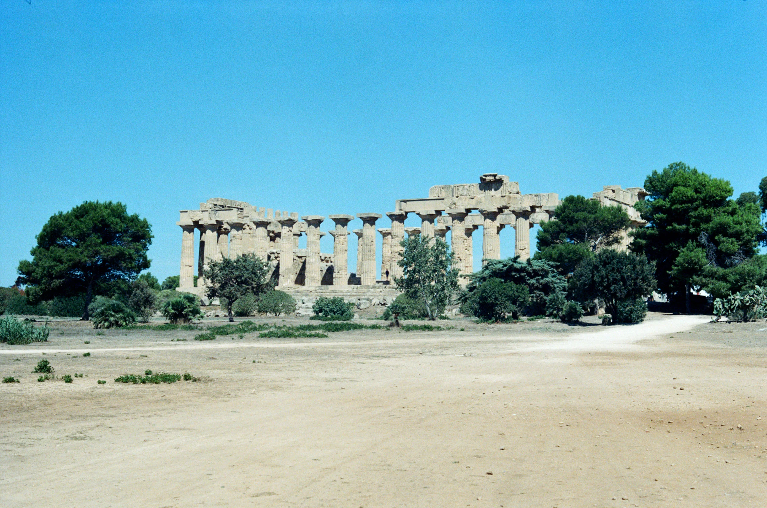 86320023.jpg