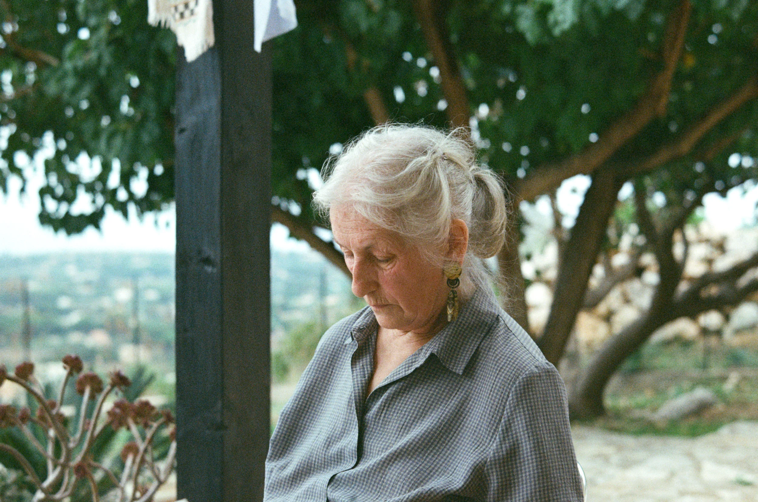 86320032.jpg