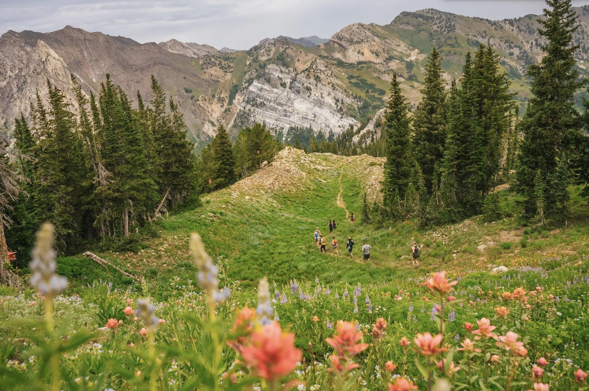 Cirque.Alta.jpg