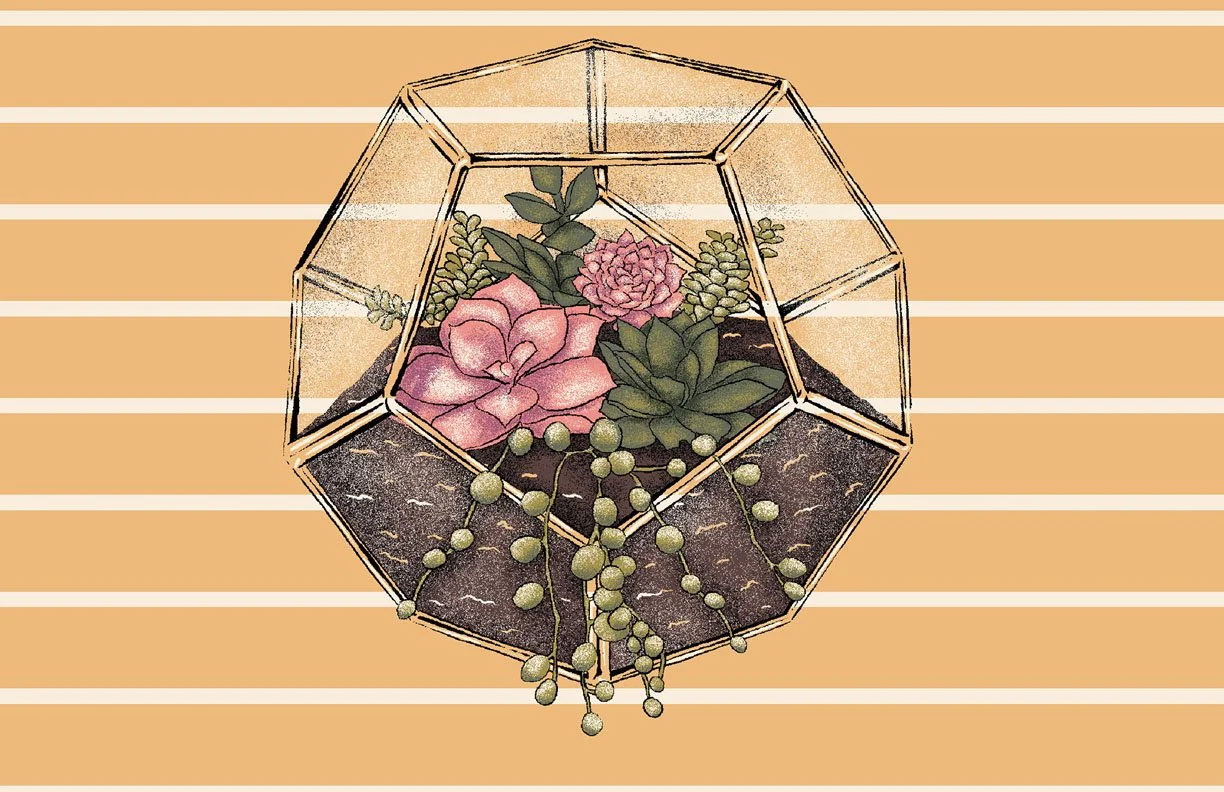 S8714_st845D_SUCCITUP_SUCCULENT_M copy 2.jpg