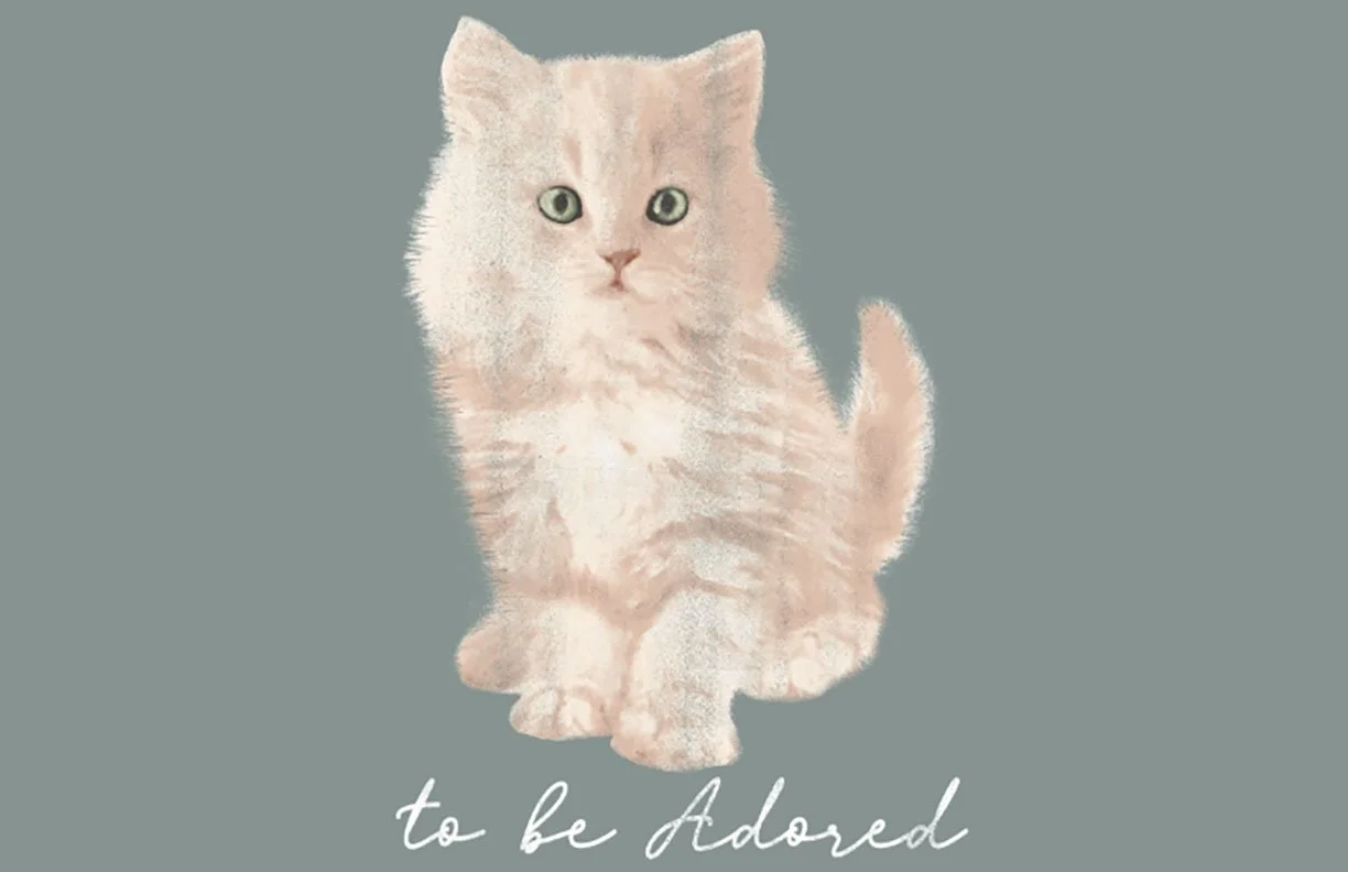 Screen Shot 2020-01-14 at 8.54.53 PM copy.jpg