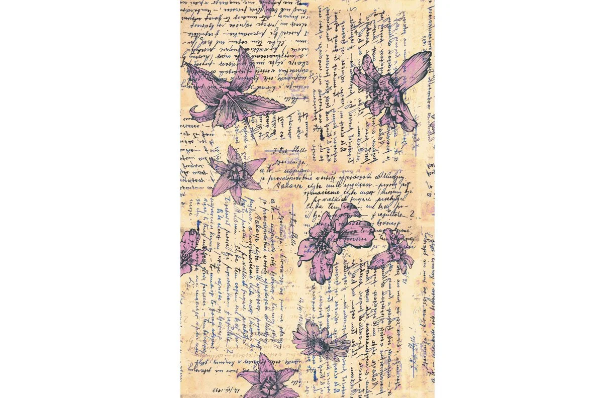 conversationals7 copy.jpg