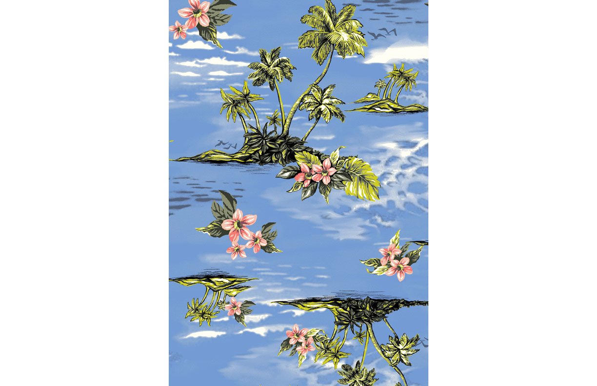 P9858_st471b_tropical copy.jpg