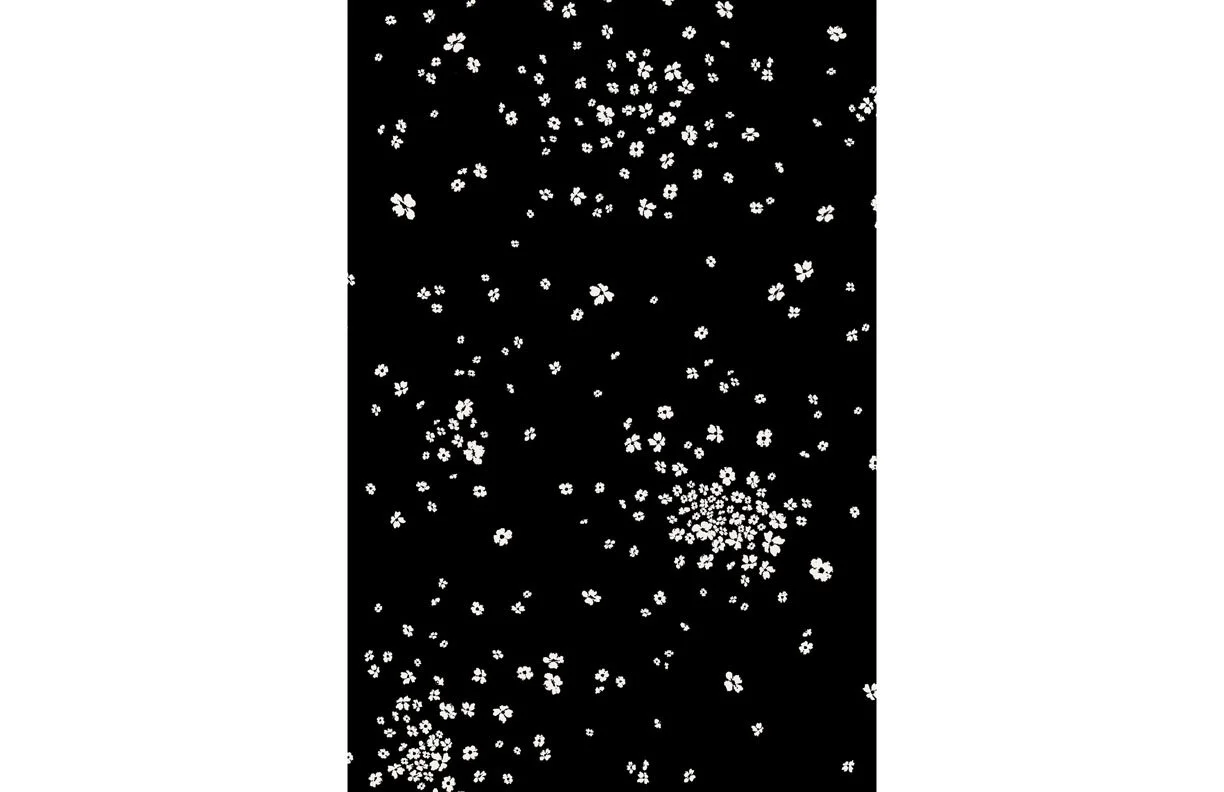 PA501_st779B_FLORAL_NON_PRINT copy 2.jpg