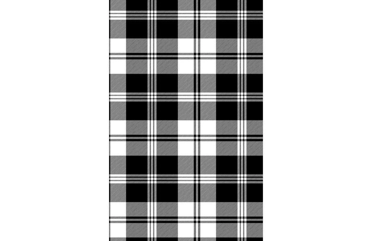 plaid1 copy.jpg