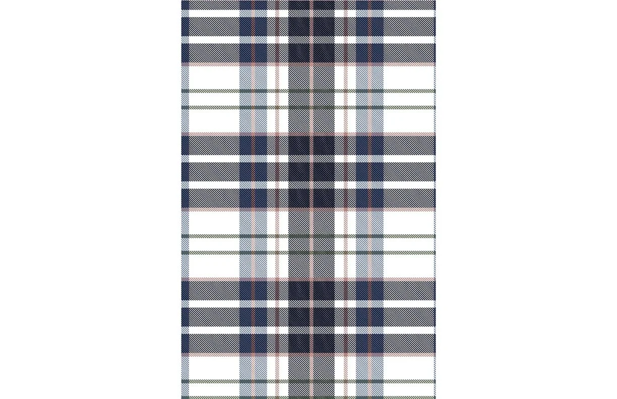 plaid3 copy.jpg