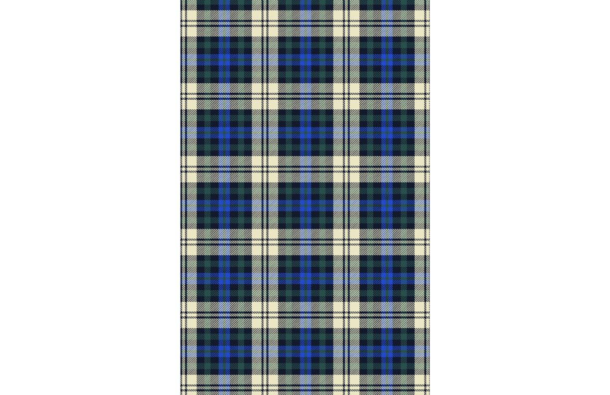 plaid5 copy.jpg