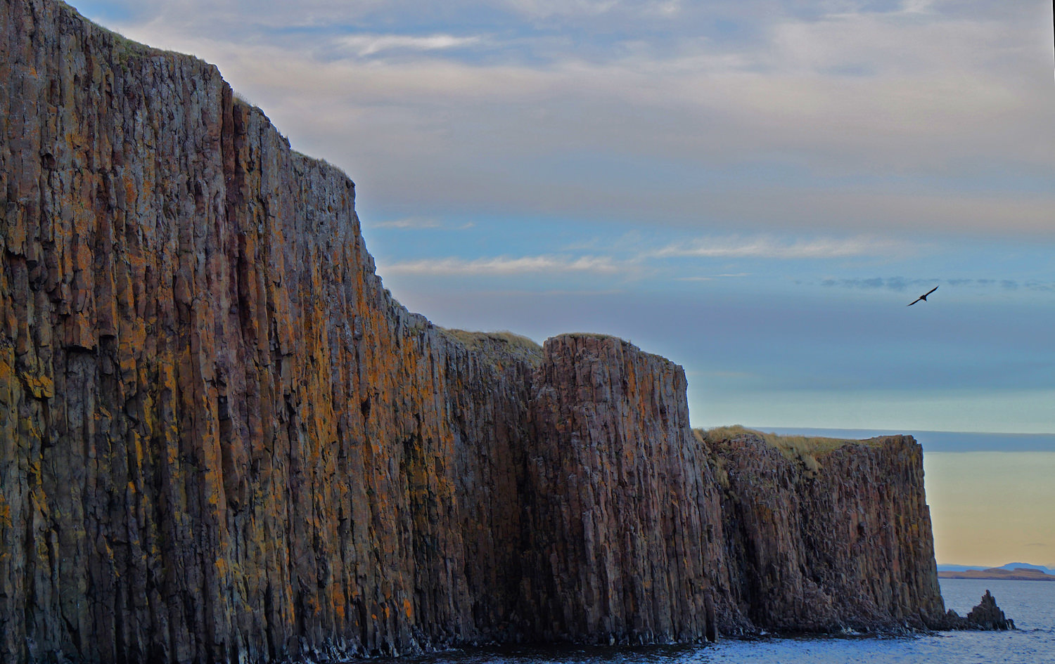 Raven and Cliffs / Stykkisholmer, Iceland