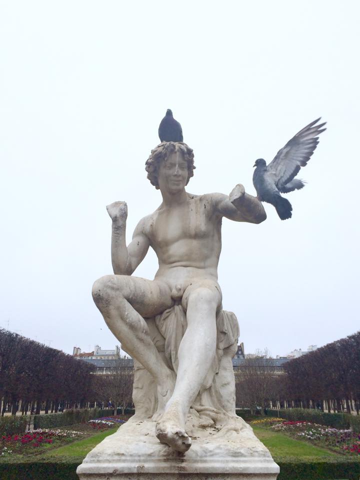 company / jardin du palais royal, paris