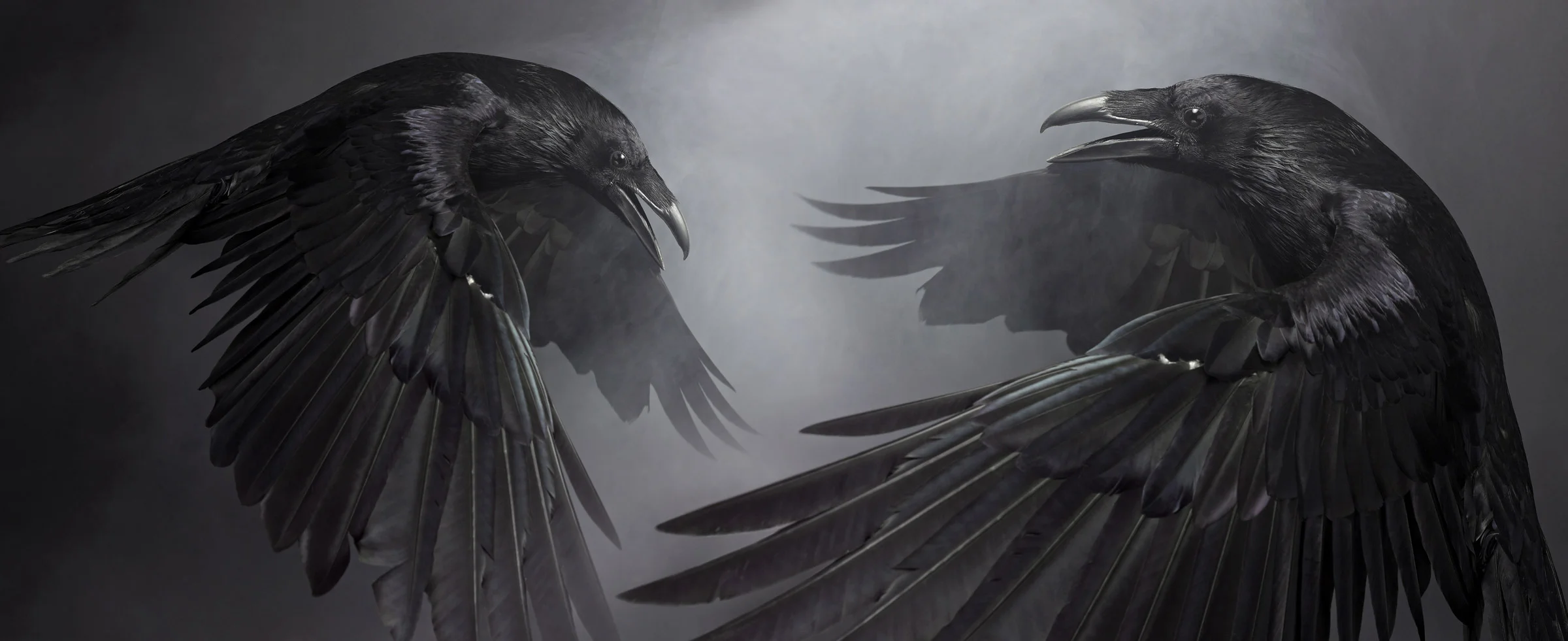 Ravens.jpg