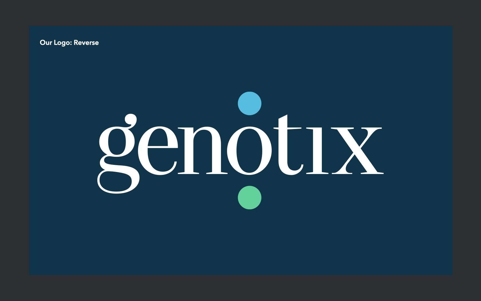 Genotix - Brand Guidelines.006.jpeg