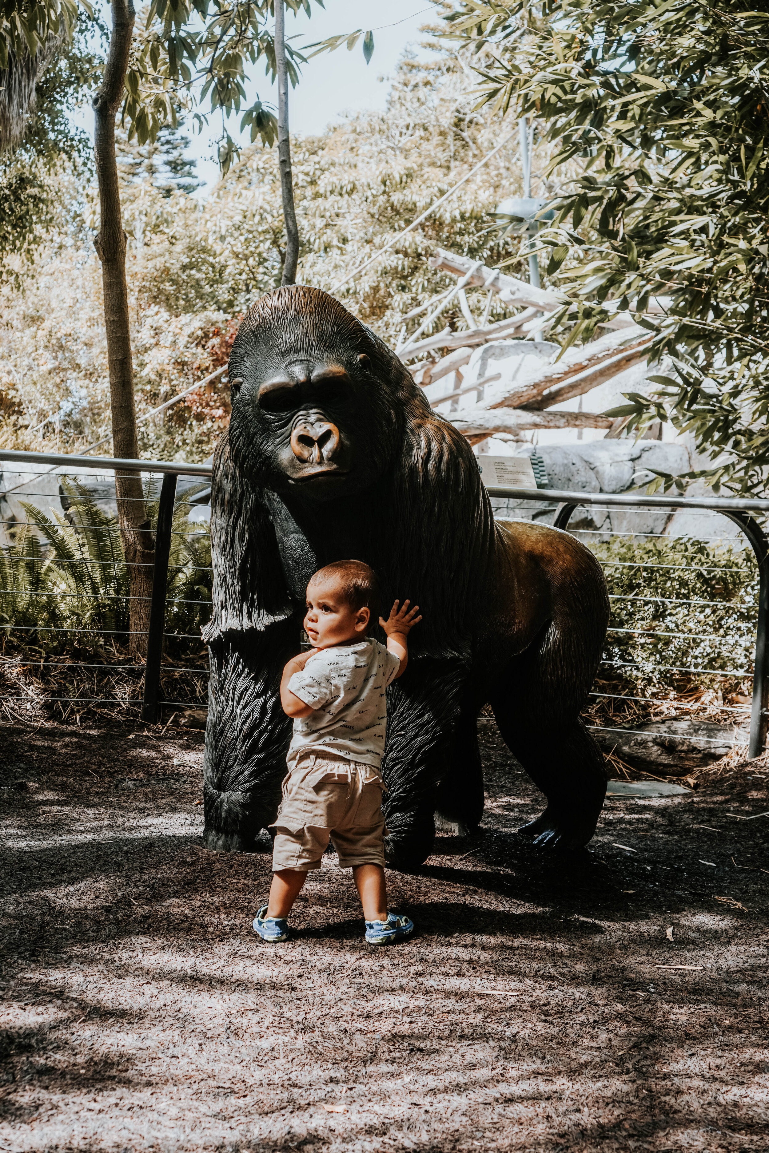 Family Vacation: San Diego Zoo