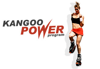 Kangoo Power.JPG