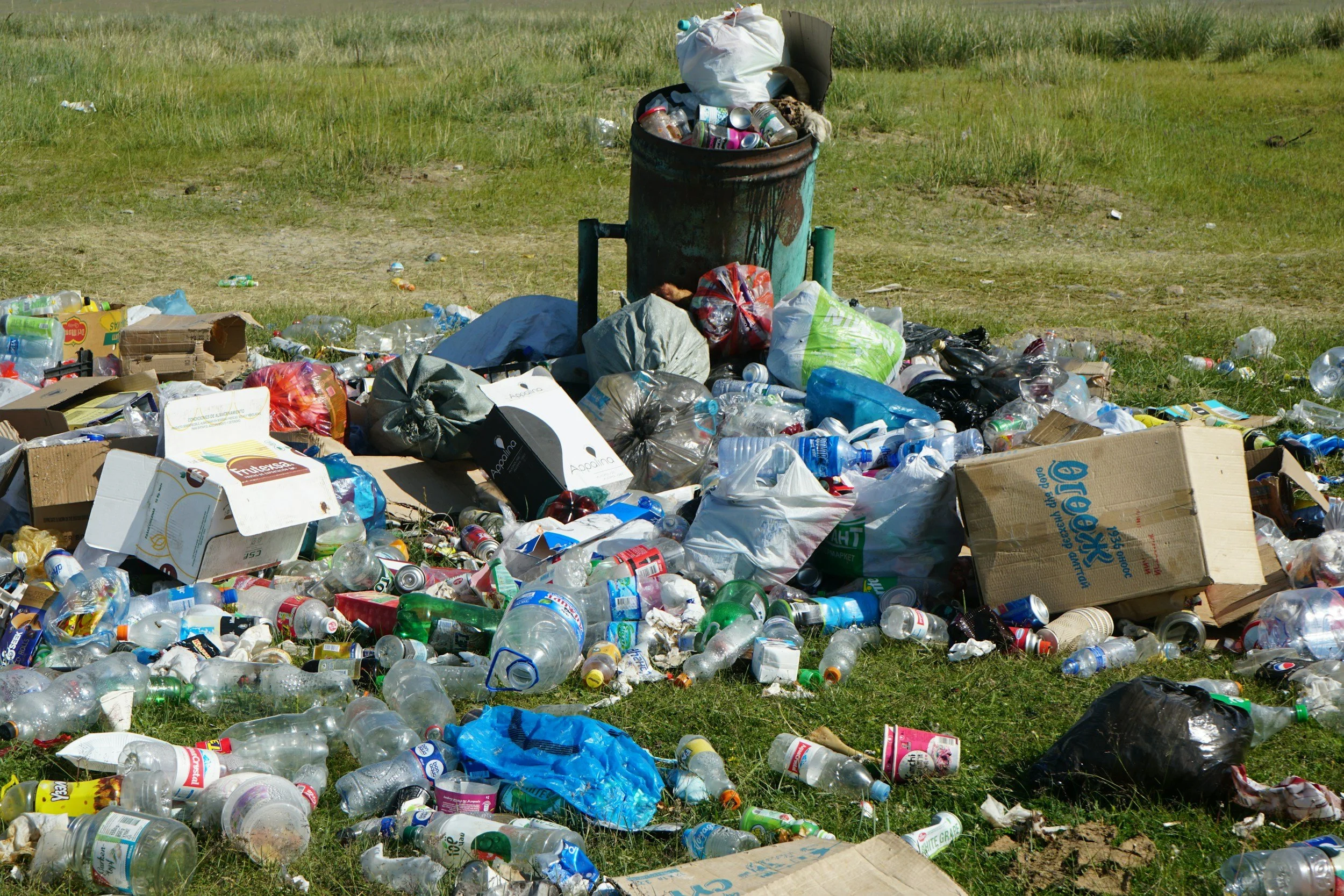 The Fraud of Plastic Recycling